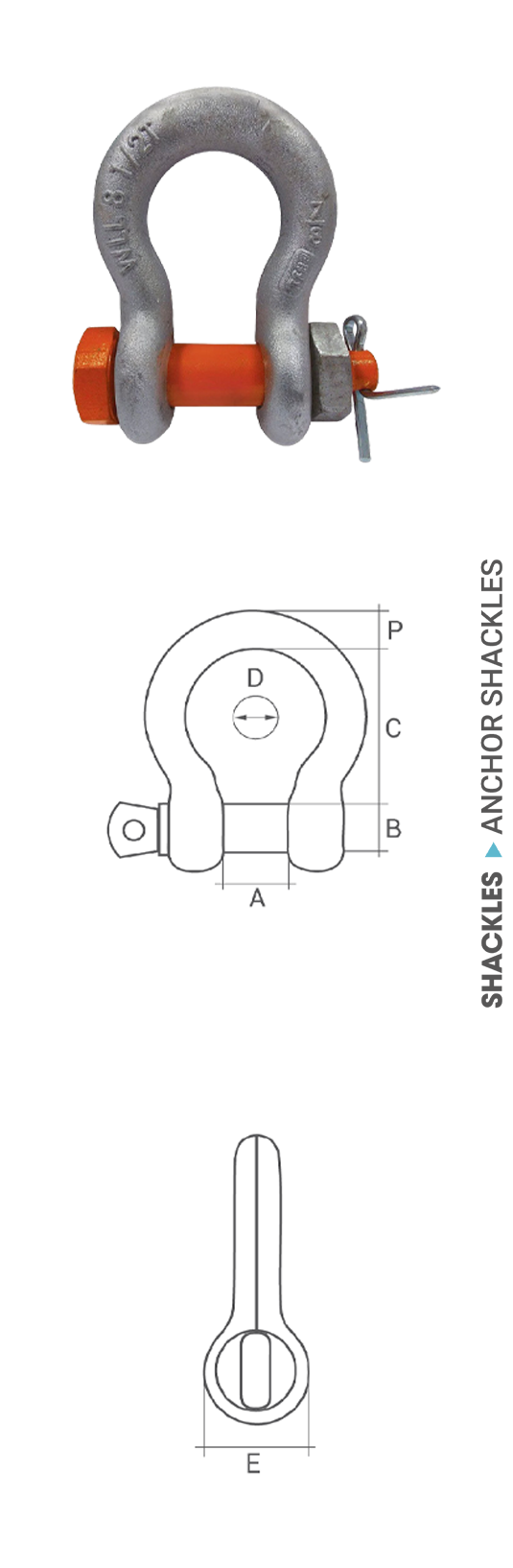 US TYPE ANCHOR SHACKLES catalogue product image
